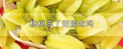 ​杨桃冰箱冷藏了还能吃吗能放多久 杨桃能放冰箱冷藏吗?