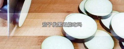 ​茄子籽变黑了还能吃吗 视频 茄子发黑了还能吃吗