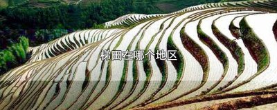 ​梯田属于哪个地区 梯田是什么地方