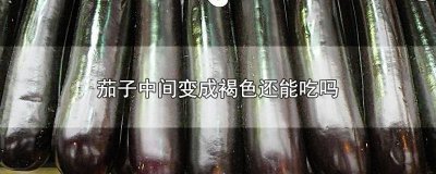 ​茄子里面是黄褐色的能吃吗图片 茄子里面发棕色能吃吗