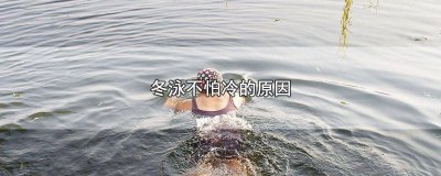 ​冬天学游泳会不会冷一些 冬天学游泳会不会冷一点