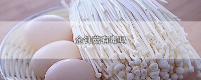 ​金针菇炒鸡蛋有没有毒 鸡蛋和金针菇一起炒有毒吗