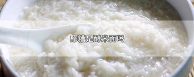 ​醪糟和面会发酵吗? 米酒是酵米面类食品吗