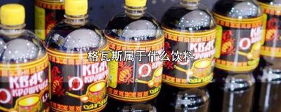 ​格瓦斯属于什么饮料类别 格瓦斯属于什么饮料系列