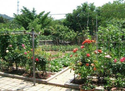 ​00后创业做什么好2023 00后创业做什么好一两万块钱