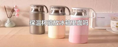 ​保温杯能放冰箱里面吗 保温杯能放冰箱里面吗冬天