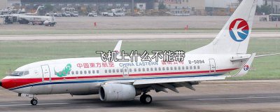 ​飞机上什么不能带的的限重 飞机上什么不能带的零食