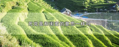 ​闺蜜和死党有啥区别 死党跟闺蜜有啥区别