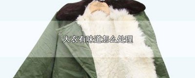 ​大衣有味道怎么处理掉呢 大衣有味道怎么去除