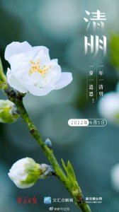 ​每年清明节是农历几月几日 今日清明｜一年一清明，一岁一追思