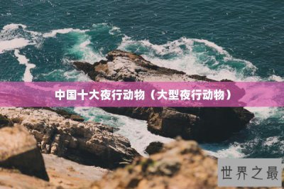 ​中国十大夜行动物（大型夜行动物）