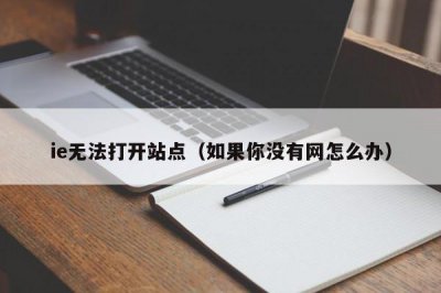 ​ie无法打开站点（如果你没有网怎么办）