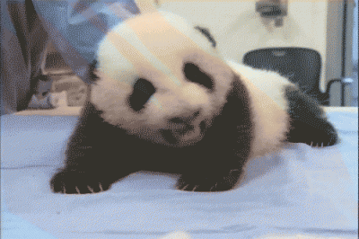 ​黑眼圈睡眠不足蚂蚁庄园 黑眼圈都是睡眠不好引起的吗蚂蚁庄园