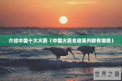 ​介绍中国十大火箭（中国火箭名称系列都有哪些）
