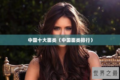 ​中国十大面类（中国面类排行）