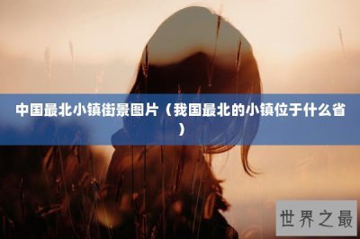 ​中国最北小镇街景图片（我国最北的小镇位于什么省）