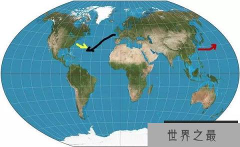 鳝鱼最近很火,它是怎么交配的?不远万里跑到奇怪的地方交配