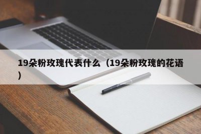 ​19朵粉玫瑰代表什么（19朵粉玫瑰的花语）