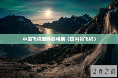 ​中国飞机哪种最特别（国内的飞机）