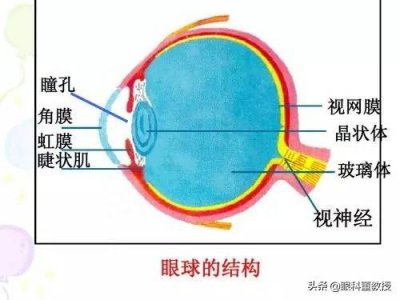 ​飞蚊症原因及治疗百度百科 飞蚊症是什么病?