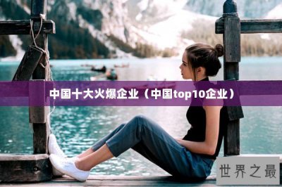 ​中国十大火爆企业（中国top10企业）