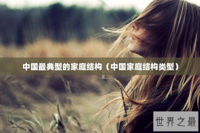 ​中国最典型的家庭结构（中国家庭结构类型）