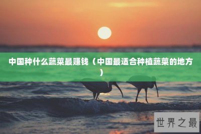 ​中国种什么蔬菜最赚钱（中国最适合种植蔬菜的地方）