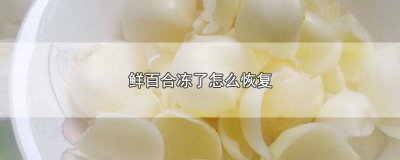 ​鲜百合怎么冷冻 新鲜百合如何贮存