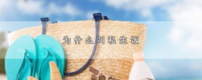 ​私生饭和私生是一样的吗 为什么要叫私生饭