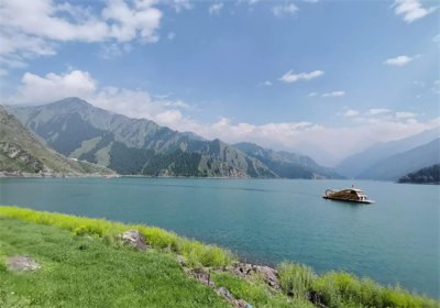 ​没心没肺的意思（没心没肺的意思心）