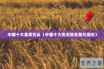 ​中国十大金奖石头（中国十大名石排名图片原石）