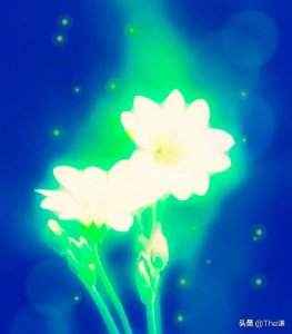 ​云深不知处下一句是什么（云深不知处下一句是什么意思）