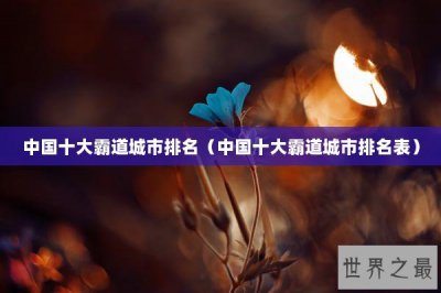 ​中国十大霸道城市排名（中国十大霸道城市排名表）