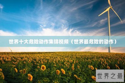 ​世界十大危险动作集锦视频（世界最危险的动作）