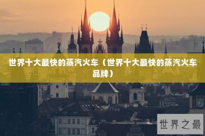 ​世界十大最快的蒸汽火车（世界十大最快的蒸汽火车品牌）