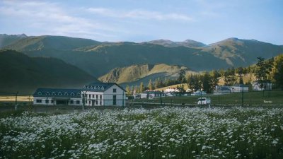 ​棠棣同馨是什么意思（棠棣同馨能比喻夫妻吗）