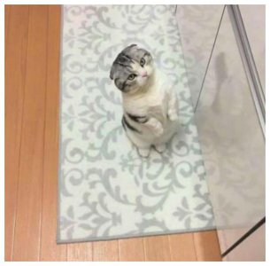 ​难咎其责是什么（难咎其责是什么生肖）