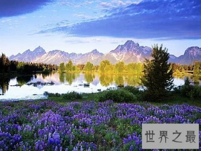 ​全球十大最美的薰衣草花田，秒杀所有所谓的网红拍照地。