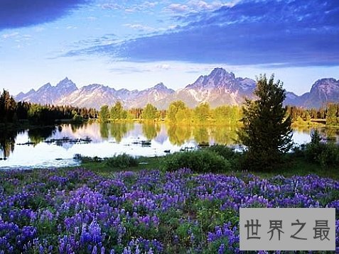 全球十大最美的薰衣草花田，秒杀所有所谓的网红拍照地。