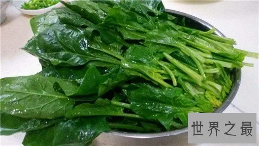 十大滋养女人的食物排行榜,好气色吃出来