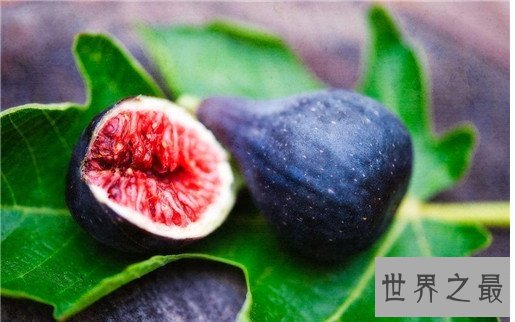 十大滋养女人的食物排行榜,好气色吃出来