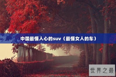 ​中国最懂人心的suv（最懂女人的车）