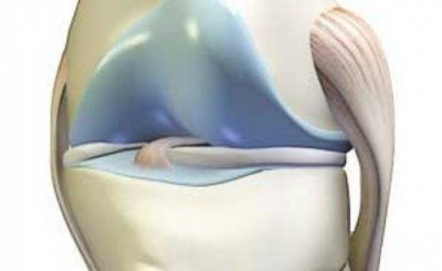 ​膝关节系列科普—–膝关节的基本结构