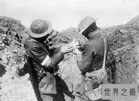 10个关于动物的神奇故事,土拨鼠可以媲美天气预报