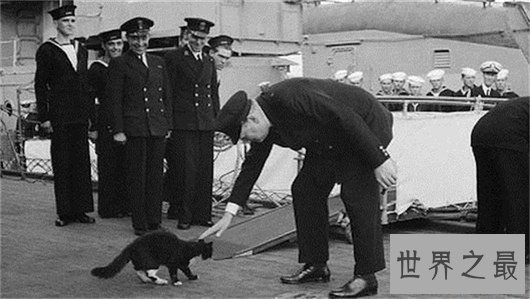 10个关于动物的神奇故事,土拨鼠可以媲美天气预报