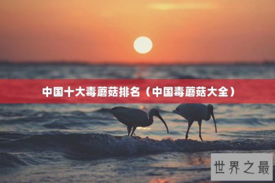 ​中国十大毒蘑菇排名（中国毒蘑菇大全）
