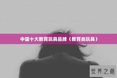 ​中国十大教育玩具品牌（教育类玩具）