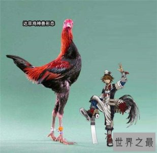​十大网络神兽，草泥马达菲鸡法克鱿是什么意思？