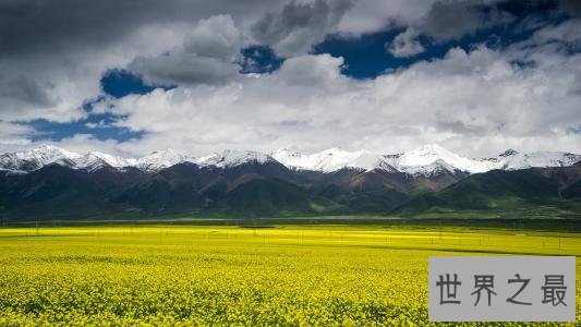 全球最美十大花海，真正的万花丛中过