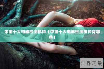 ​中国十大电器检测机构（中国十大电器检测机构有哪些）